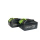 3в1 Акумулаторна Лозарска Ножица и Трион  телескопичен прът 36V 8AH 